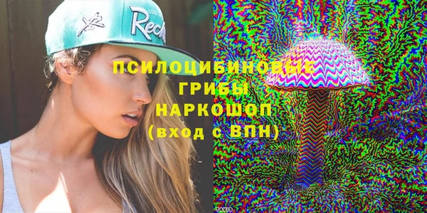 mix Бородино